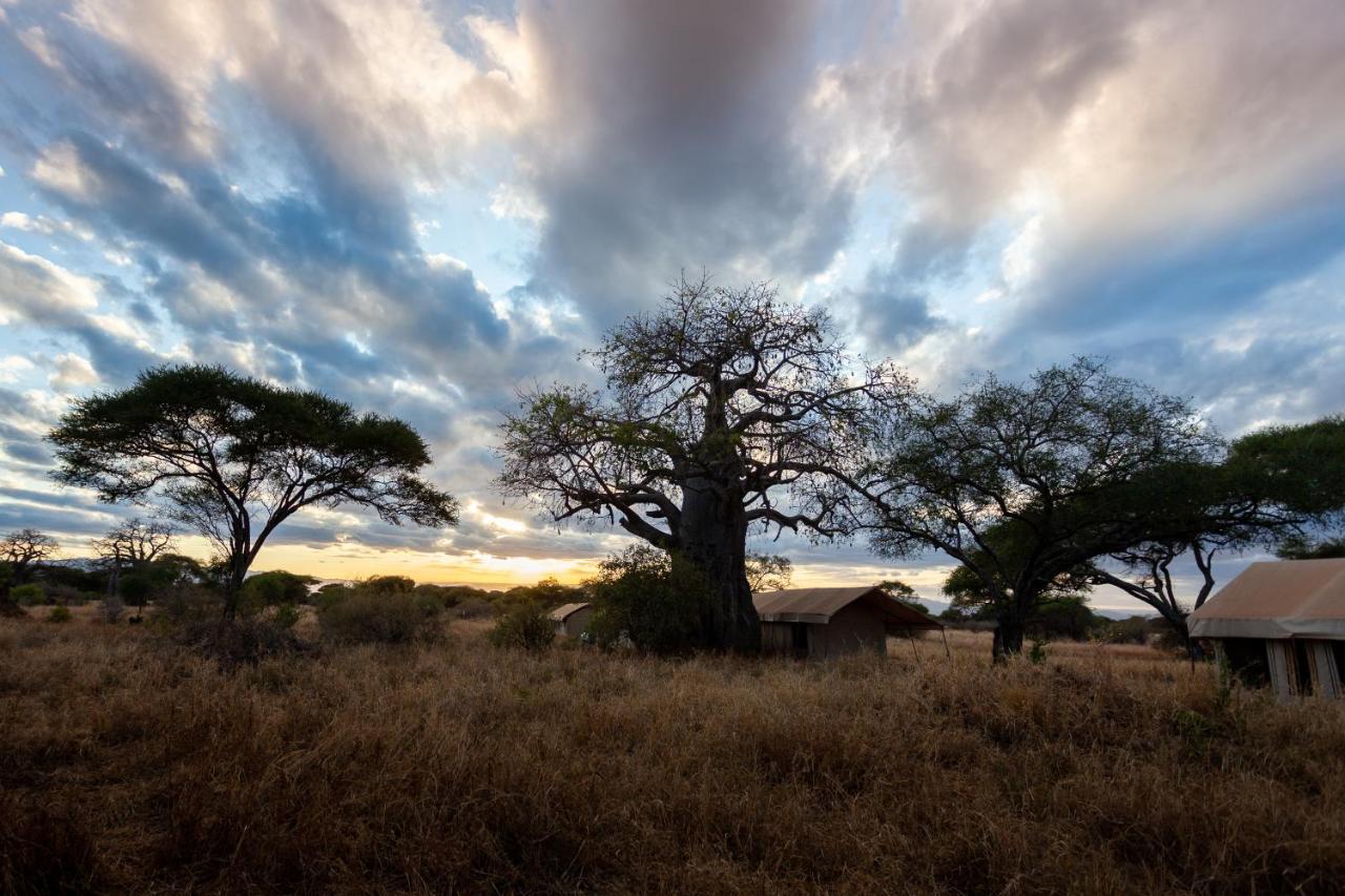 Baobab Tented Camp Kwa Kuchinia Exterior photo